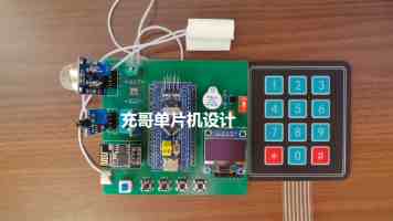 绯红小猫 - 2025最新强度评测与配队思路全解析