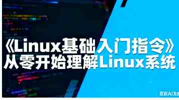 美国XXX全维度评测：从参数到实际体验，你需要知道的都在这里