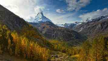 拔黄萝卜不盖被子行吗 - 睡觉不盖被的3个真实后果