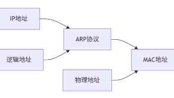 影响世界的两个“方块”：俄罗斯方块创始人帕基特诺夫与魔方之父鲁比克首次会面