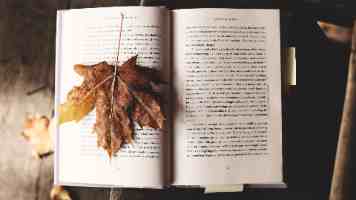 北京高校服务新时代首都发展特别报道 | 中国戏曲学院：戏韵绕中轴 千年文脉绽新光